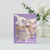 Carte Postale Bunny Bubba (Debout devant)