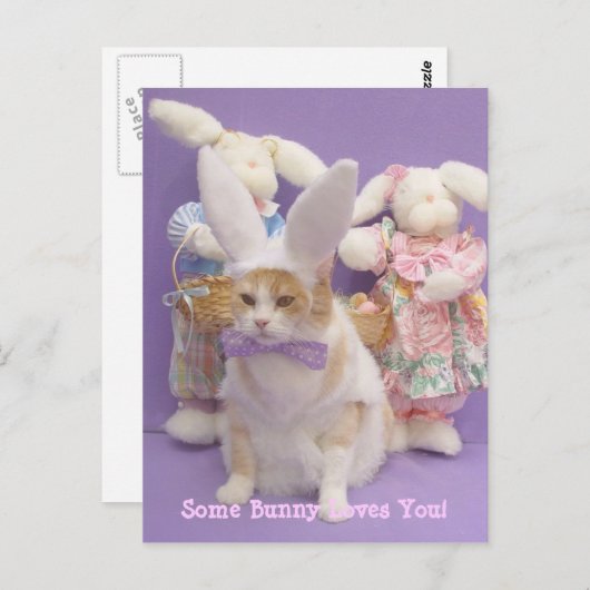 Carte Postale Bunny Bubba (Devant / Derrière)