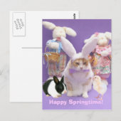 Carte Postale Bunny Bubba 2 (Devant / Derrière)
