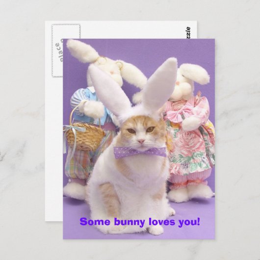 Carte Postale Bunny Bubba 3 (Devant / Derrière)