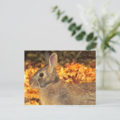 Carte Postale Bunny d'automne (Debout devant)