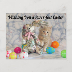 Carte Postale Bunny de Pâques de Buffington - Chat / Kitten Cart
