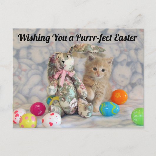 Carte Postale Bunny de Pâques de Buffington - Chat / Kitten Cart (Devant)