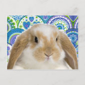 Carte Postale Bunny Funky (Devant)