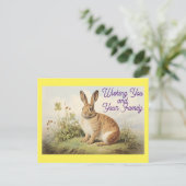 Carte postale Bunny Holiday (Debout devant)