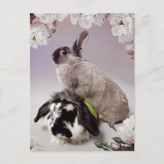 Carte Postale Bunny Love (Devant)