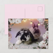 Carte Postale Bunny Love (Devant / Derrière)