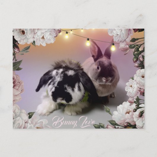 Carte Postale Bunny Love (Devant)
