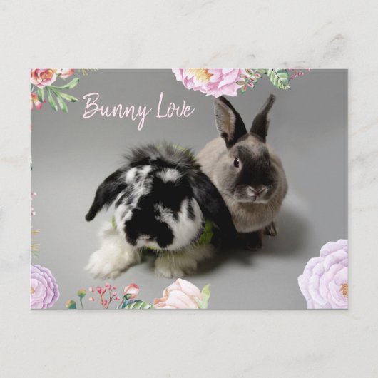 Carte Postale Bunny Love (Devant)