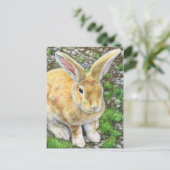 Carte Postale Bunny Pastel (Debout devant)