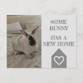 Carte Postale Bunny Photo Nous avons déménagé | Nouveau Faire-pa (Devant)