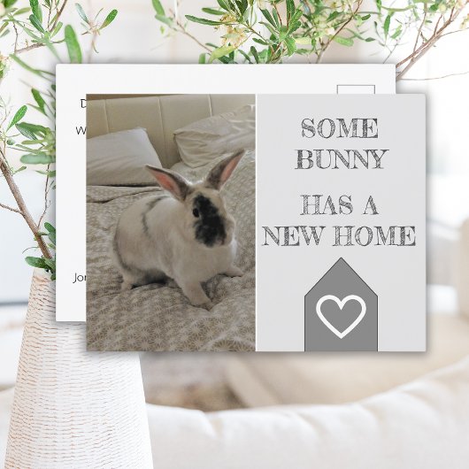Carte Postale Bunny Photo Nous avons déménagé | Nouveau Faire-pa