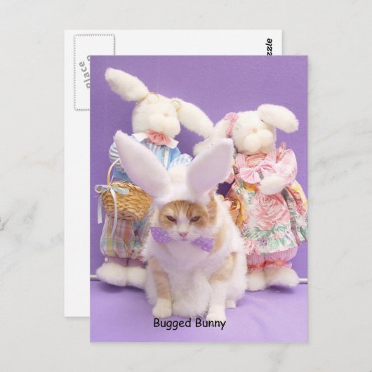 Carte Postale Bunny robuste (Devant / Derrière)
