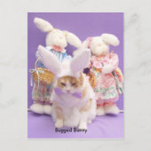 Carte Postale Bunny robuste (Devant)