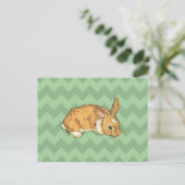 Carte Postale Bunny Sage Chevron Duo (Debout devant)