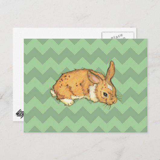 Carte Postale Bunny Sage Chevron Duo (Devant / Derrière)