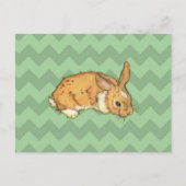 Carte Postale Bunny Sage Chevron Duo (Devant)
