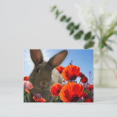 Carte Postale Bunny Springtime (Debout devant)