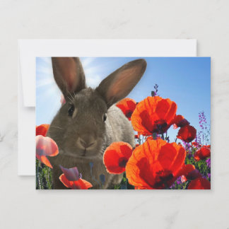 Carte Postale Bunny Springtime
