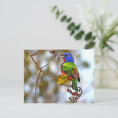 Carte Postale Bunting peint, bel oiseau coloré (Debout devant)