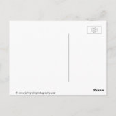 Carte Postale Buoy shack, Maine, (Dos)