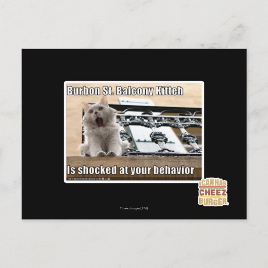 Carte Postale Burbon St Balcony Kitteh (Devant)