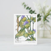 Carte Postale Burdock Materia Medica Herbal Plante Study Card (Debout devant)