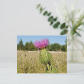 Carte postale Burdock Thistle (Debout devant)
