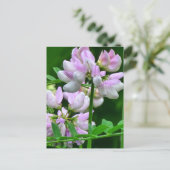 Carte Postale Bureaux de fleurs rose et blanc (Debout devant)
