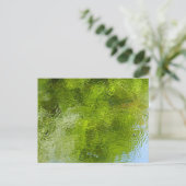 Carte Postale Burets d'eau dans le parc national de Laurel Hill (Debout devant)