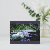 Carte Postale Burgess Falls (Debout devant)