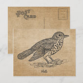 Carte Postale Burlap Russe Bonjour Petit oiseau (Devant / Derrière)