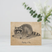 Carte postale Burlap Vintage Raccoon (Debout devant)
