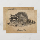 Carte postale Burlap Vintage Raccoon (Devant / Derrière)