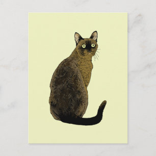 Carte Postale Burmese Cat