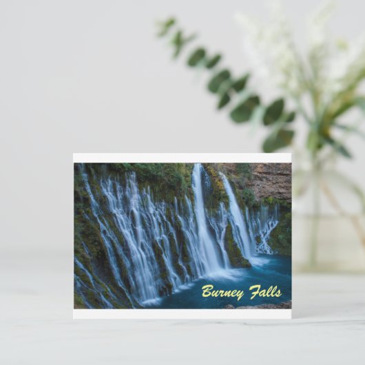 Carte postale Burney Falls (Debout devant)