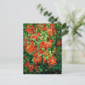 Carte Postale Burning Bush et Emu Wren du Chili, art (Debout devant)