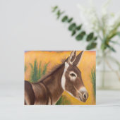 Carte Postale Burro du désert (Debout devant)