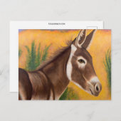 Carte Postale Burro du désert (Devant / Derrière)