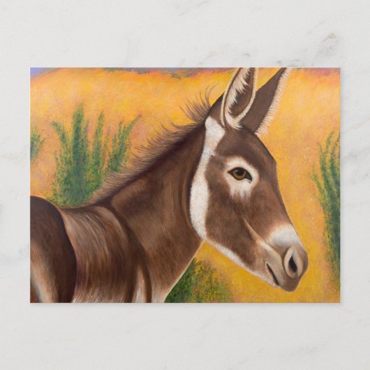 Carte Postale Burro du désert (Devant)