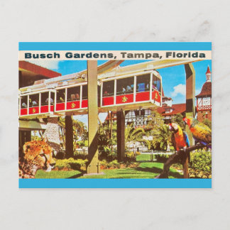 Carte Postale Busch Gardens Tampa Floride