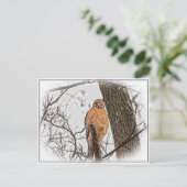 Carte Postale Buse à épaulettes rouge dans un arbre (Debout devant)