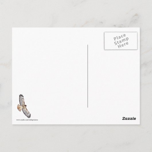 Carte Postale Buse à queue rouge (Dos)
