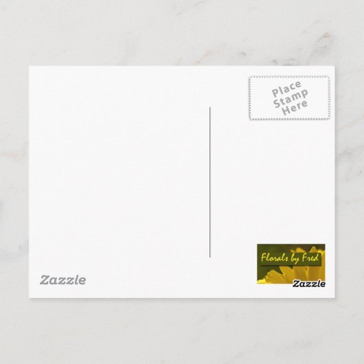 Carte Postale Buse à queue rouge en vol (Dos)