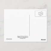 Carte Postale Buse à queue rousse agitée (Dos)