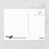 Carte Postale Buse à queue rousse immature dans un buisson d'oco (Dos)