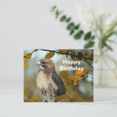 Carte Postale Buse à queue rousse sauvage Photo d'automne Annive (Debout devant)