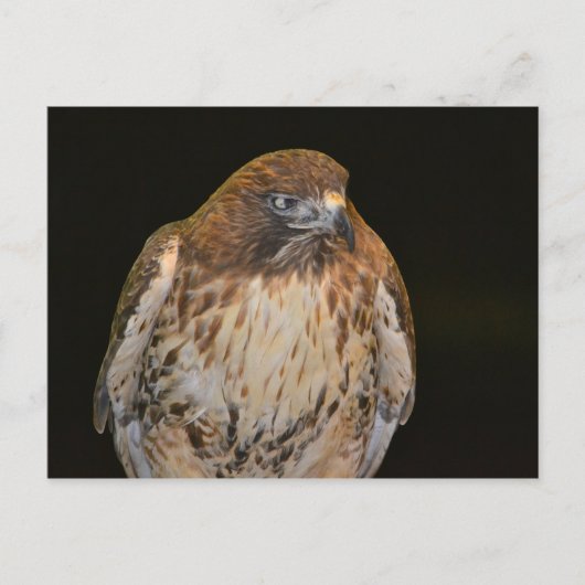 Carte Postale Buse artisanale (Devant)