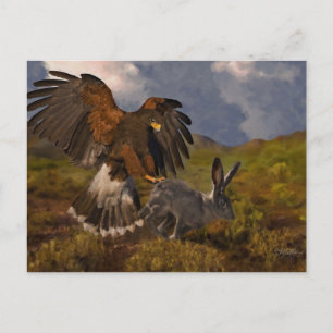 Carte Postale Buse de Harris et lapin à queue blanche - acryliqu