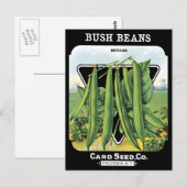 Carte Postale Bush Haricots Pack de graines Jardin de légumes No (Devant / Derrière)